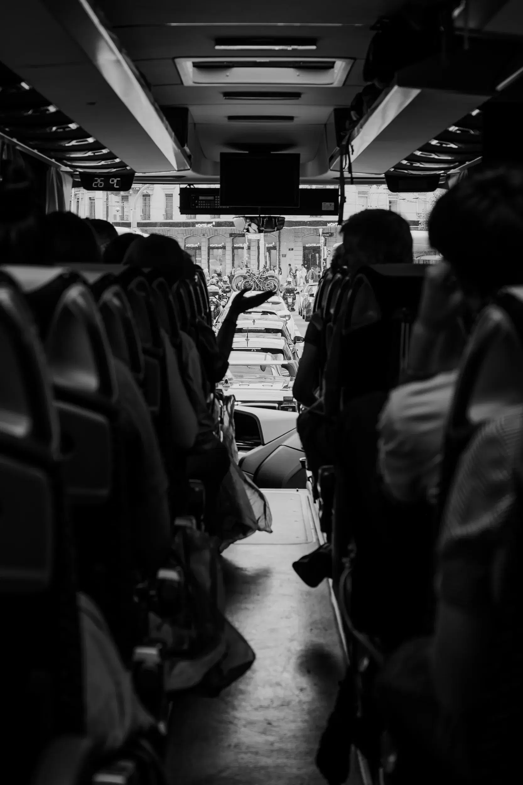DSC_1250.webp