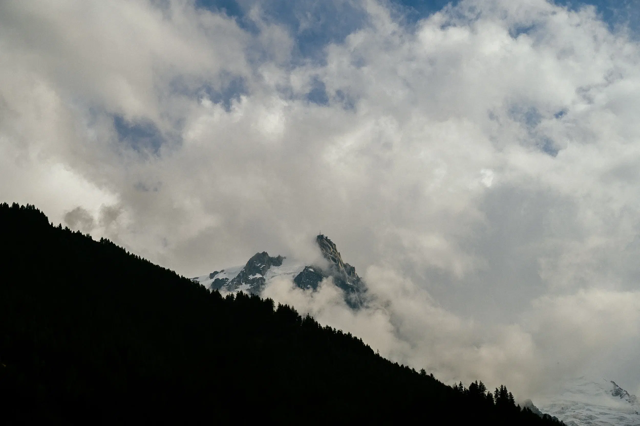 DSC_1280.webp