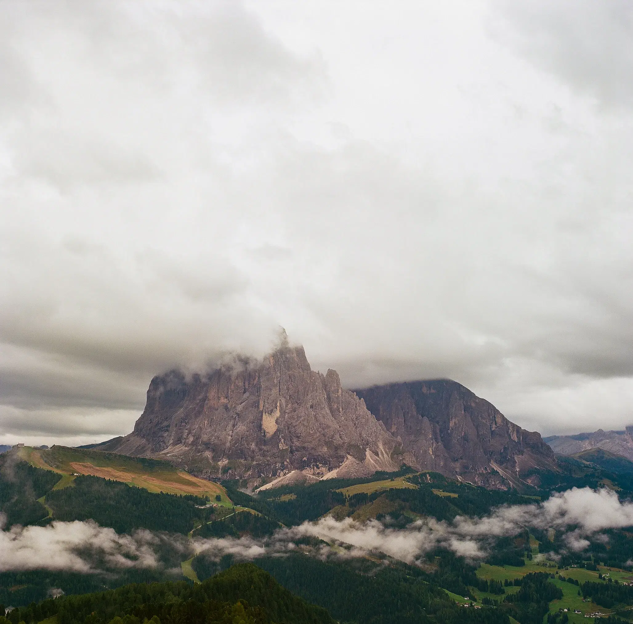 000024880007.webp