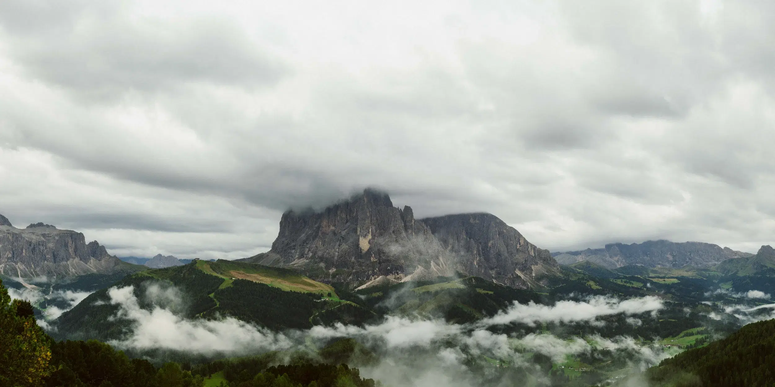 DSC_4861-Pano.webp