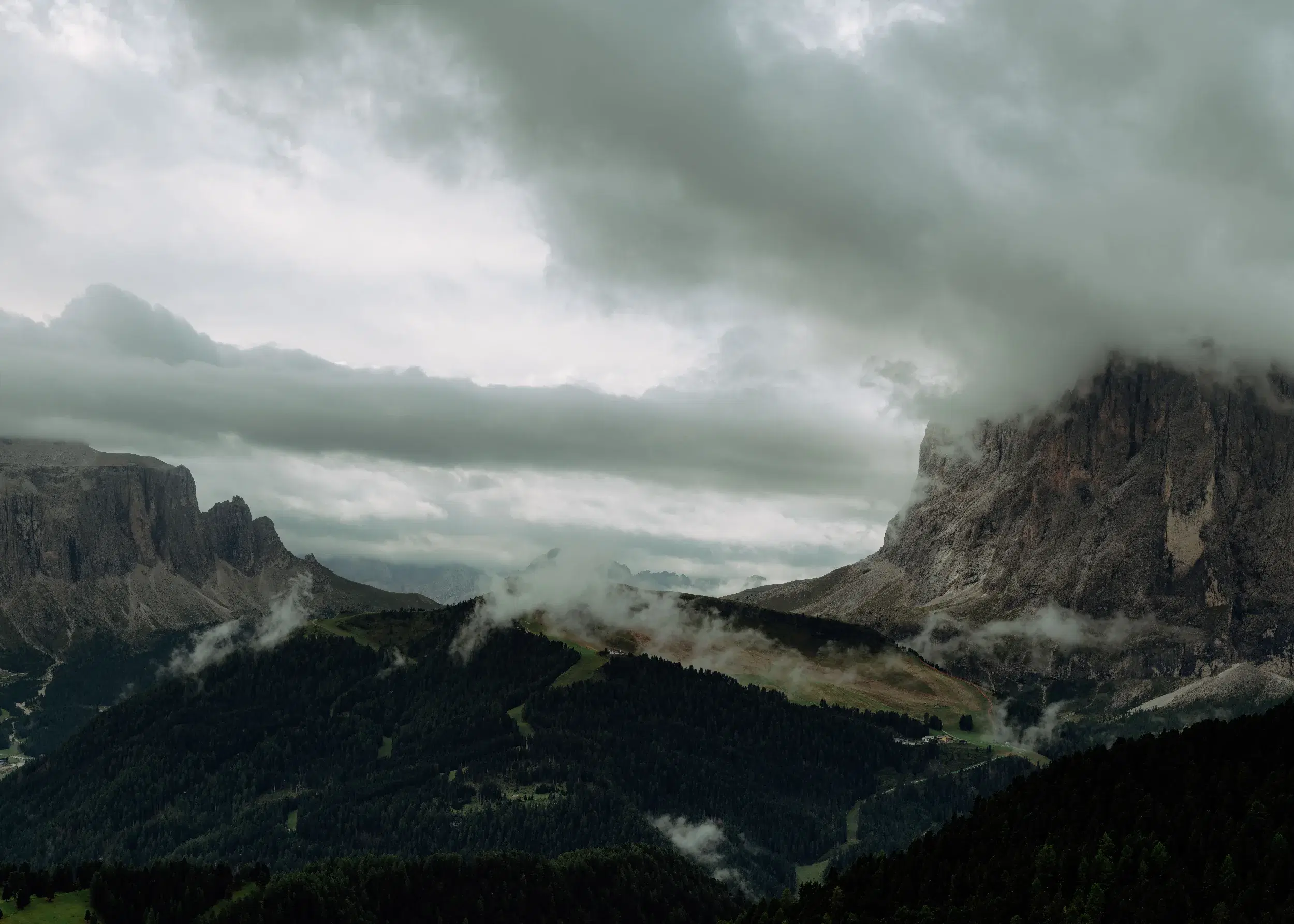 DSC_5010-Pano.webp
