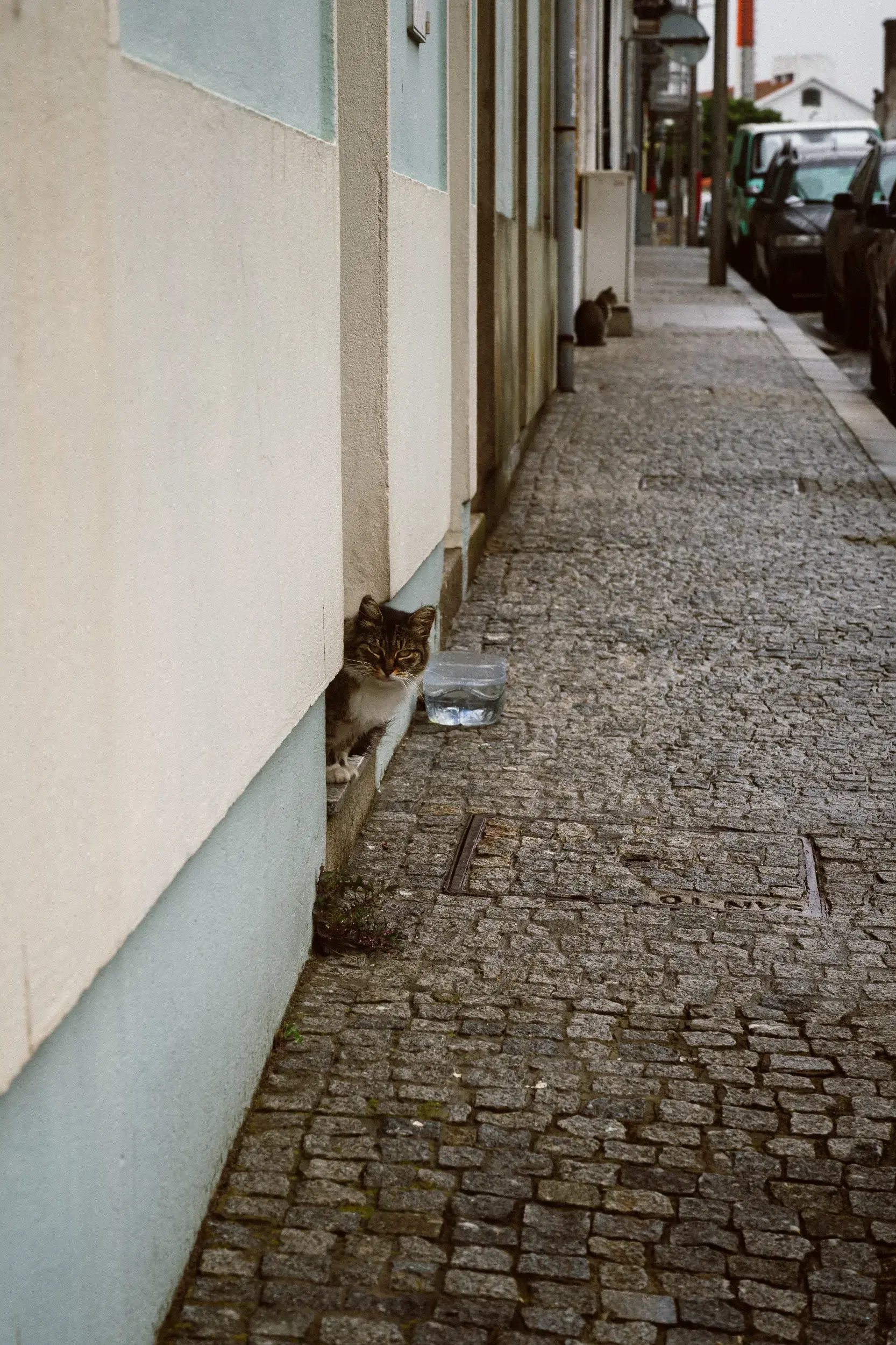DSC_8694.webp