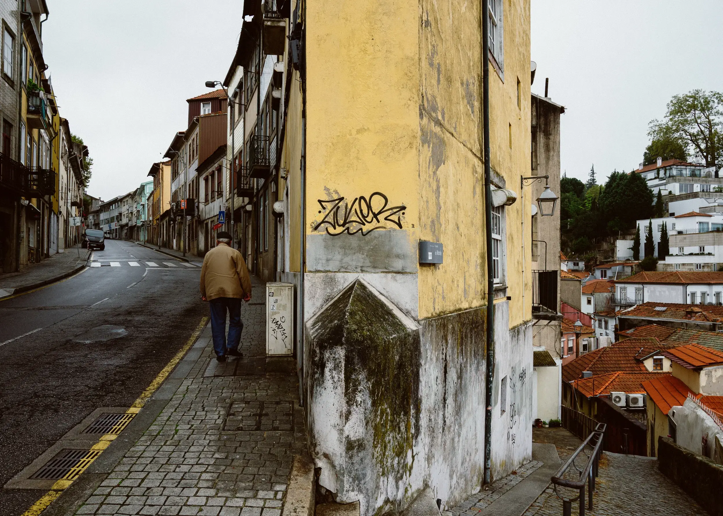 DSC_8781.webp