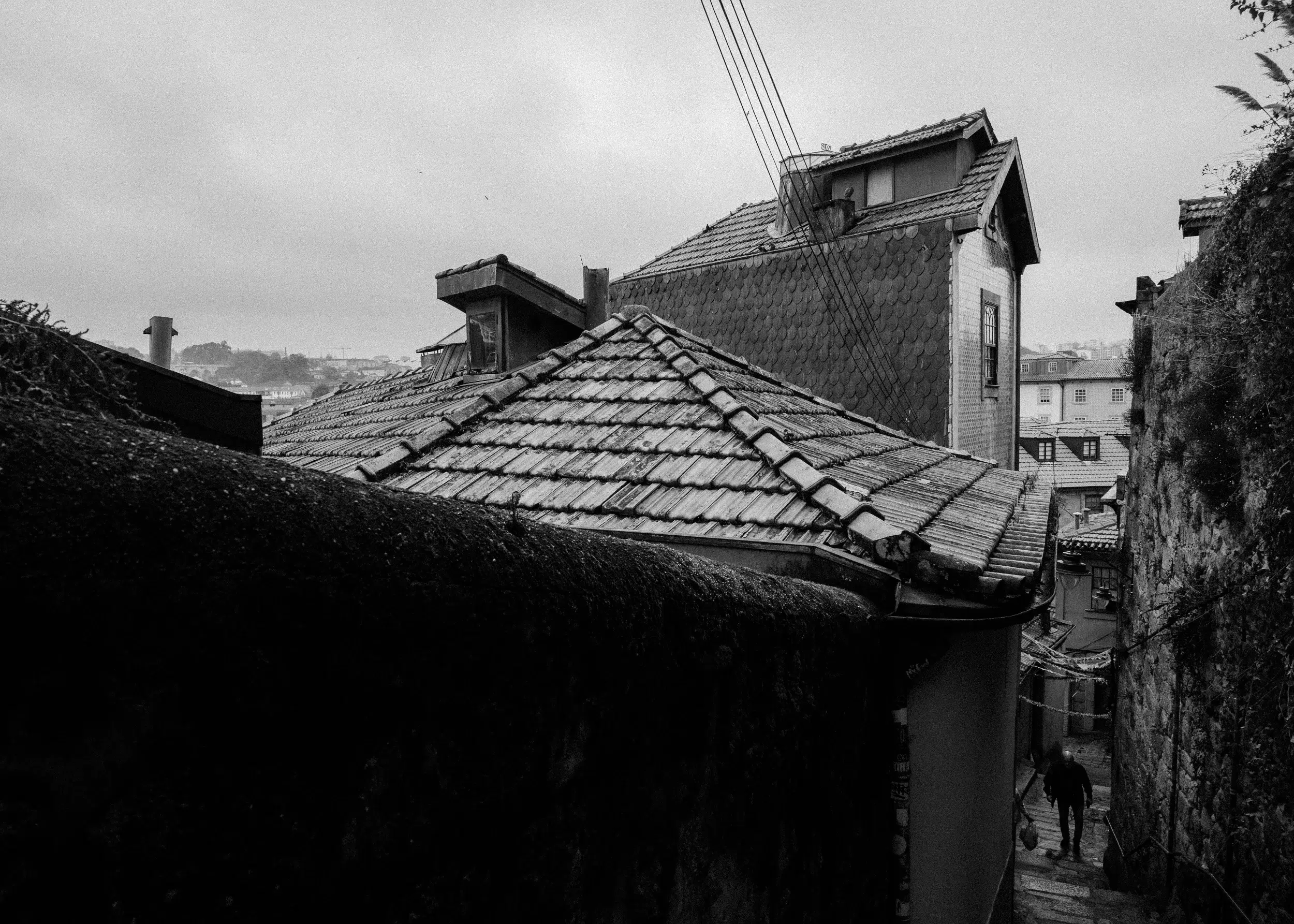 DSC_8902.webp