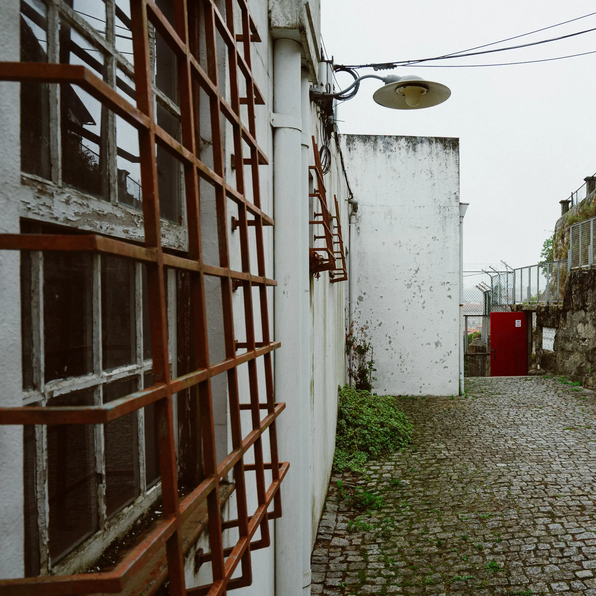DSC_8903.webp