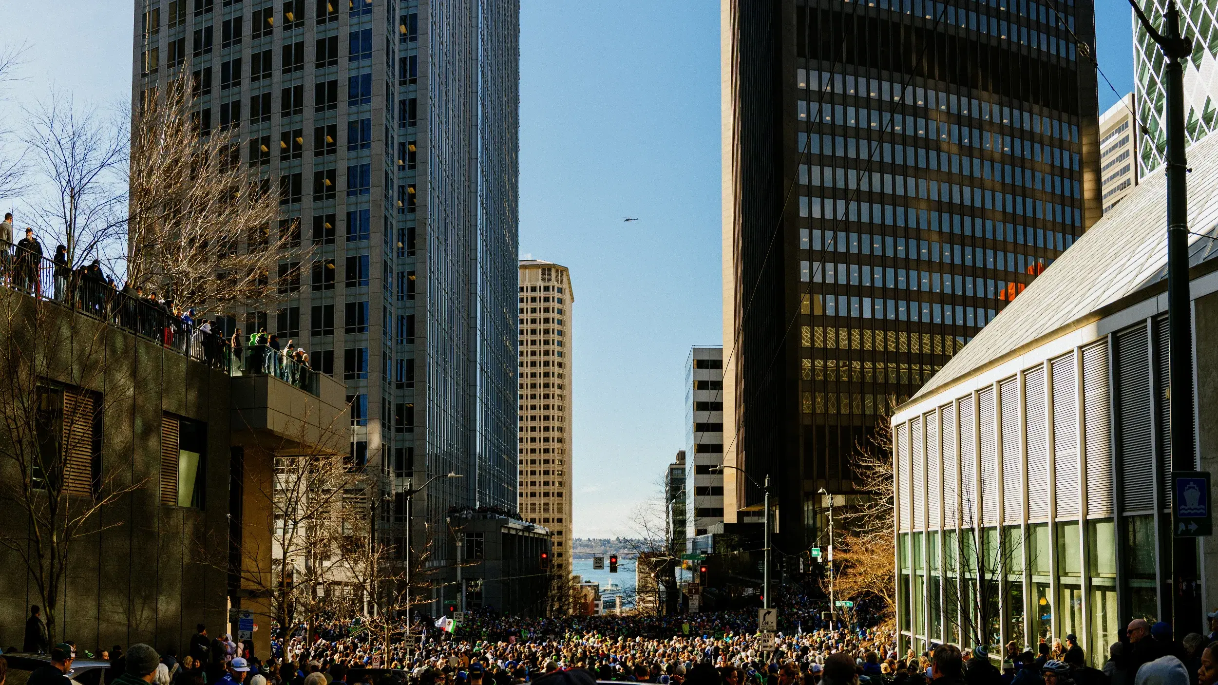 DSC_5552-Pano-2.webp
