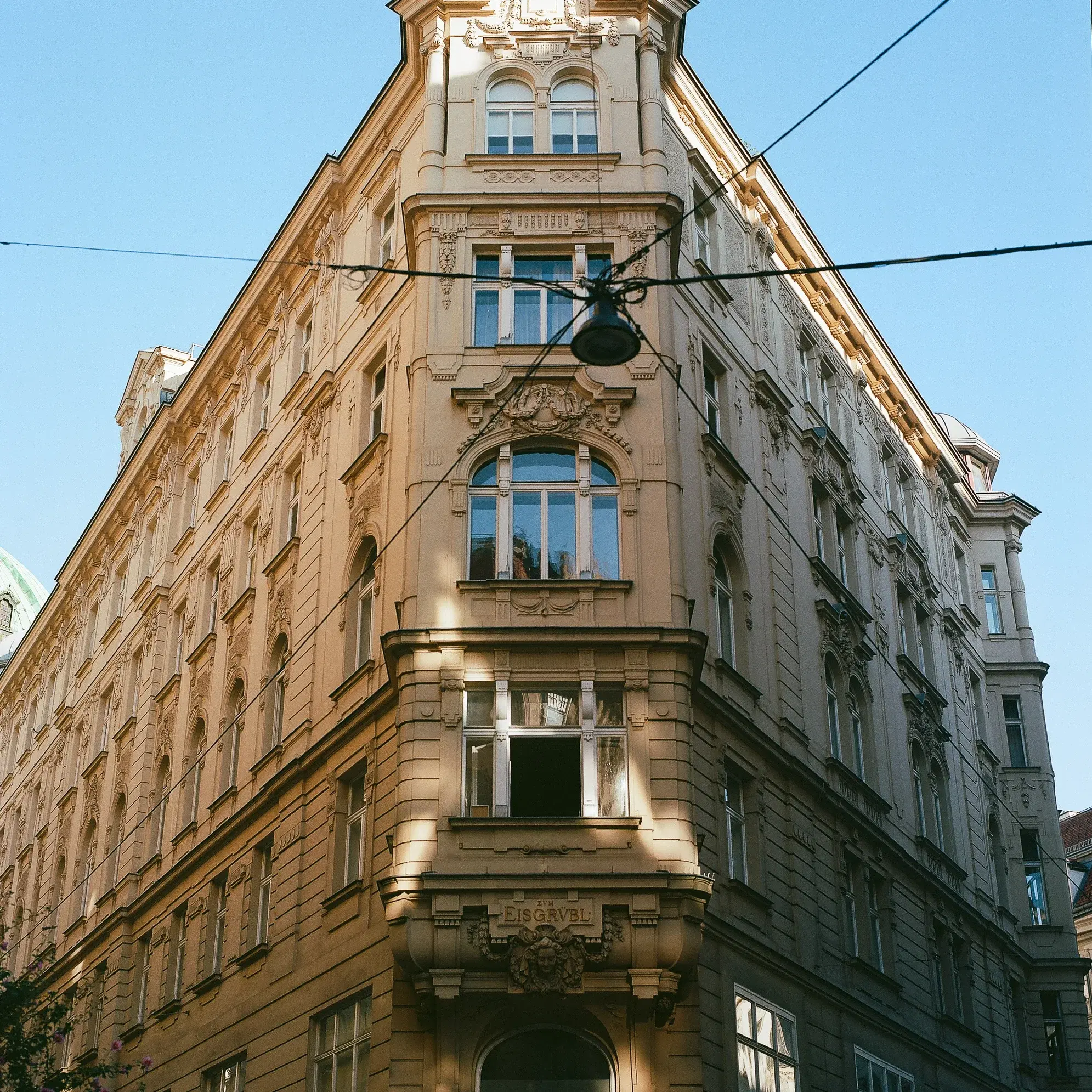Vienna (film)